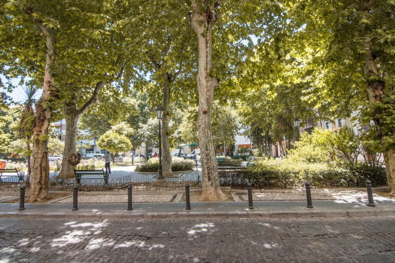Appartement Tuguest Lobos *